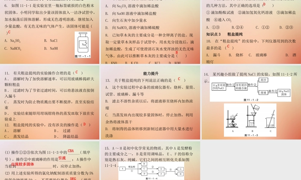 九年级化学下册 第十一单元 盐 化肥 课题1 生活中常见的盐 课时1 常见的盐(内文)课件 (新版)新人教版 课件