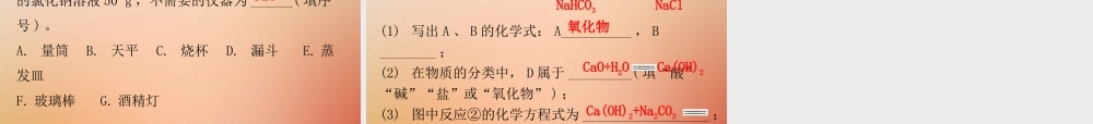 九年级化学下册 第十一单元 盐 化肥 课题1 生活中常见的盐 课时1 常见的盐(内文)课件 (新版)新人教版 课件