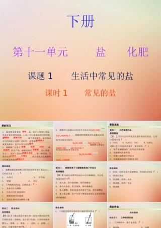 九年级化学下册 第十一单元 盐 化肥 课题1 生活中常见的盐 课时1 常见的盐(内文)课件 (新版)新人教版 课件
