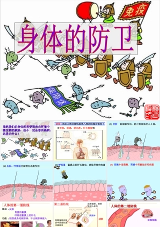 中考生物身体的防卫课件一 浙教版 课件