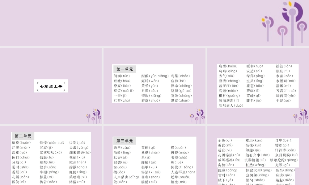 (通用)中考语文总复习 知识清单一 字音、字形课件