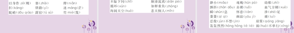 (通用)中考语文总复习 知识清单一 字音、字形课件