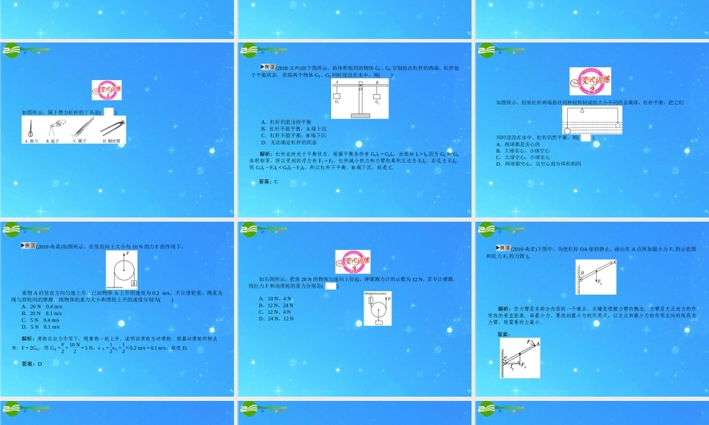 中考物理复习专题二十三 简单机械课件