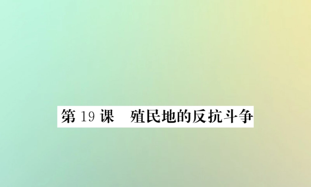 九年级历史上册 第五单元 工业化时代的来临和马克思主义的诞生 第19课 殖民地的反抗斗争课件 岳麓版 课件