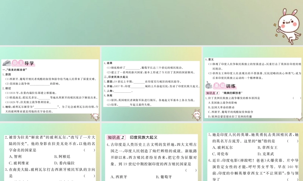 九年级历史上册 第五单元 工业化时代的来临和马克思主义的诞生 第19课 殖民地的反抗斗争课件 岳麓版 课件