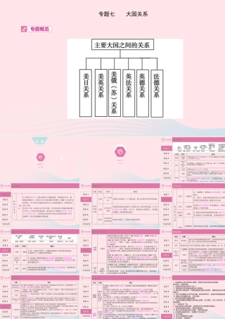 (河南专用)版中考历史 专题过关七 大国关系课件