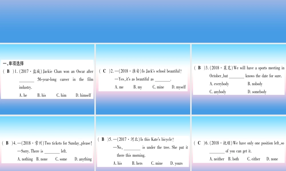 (湖北专用版)版中考英语专题高分练 专题突破二 代词实用课件