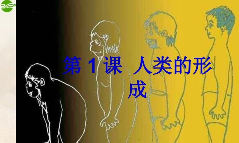 九年级历史上册 第1课人类的形成课件 人教新课标版 课件