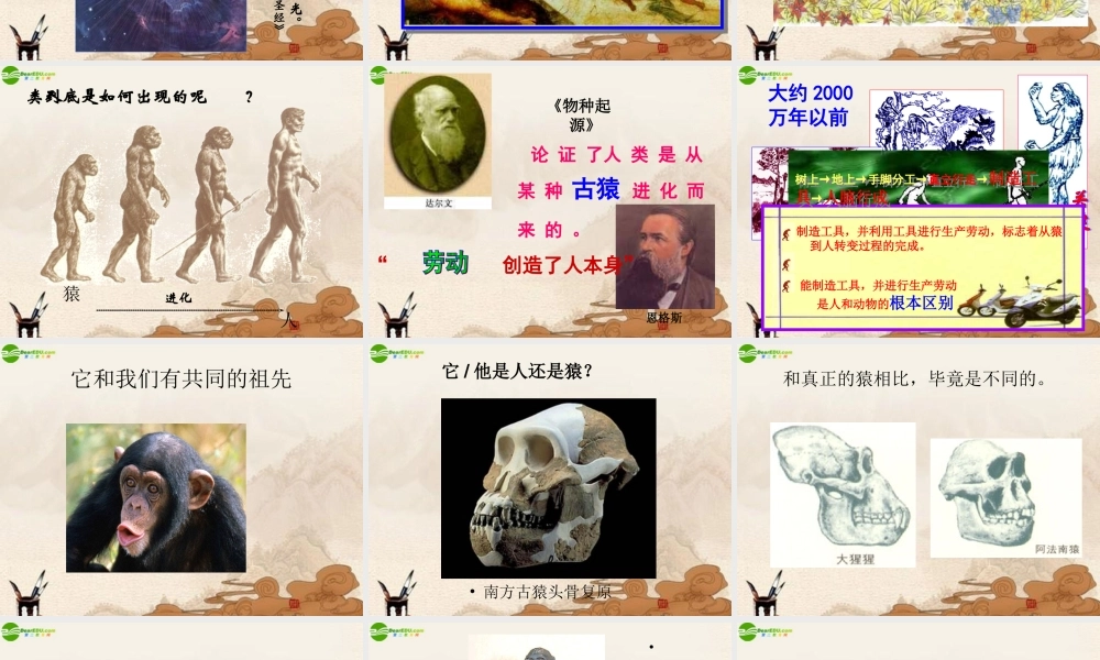 九年级历史上册 第1课人类的形成课件 人教新课标版 课件