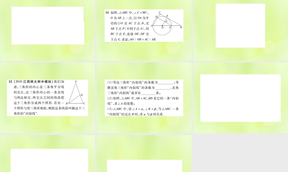 中考数学总复习 第四单元 三角形 第18课时 相似三角形(高效集训本)课件