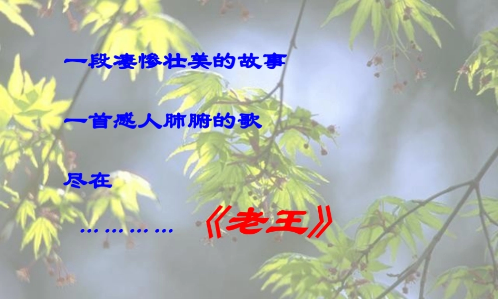 (老王)课件3 八年级语文上册第二单元(老王)课件9套人教版 八年级语文上册第二单元(老王)课件9套人教版