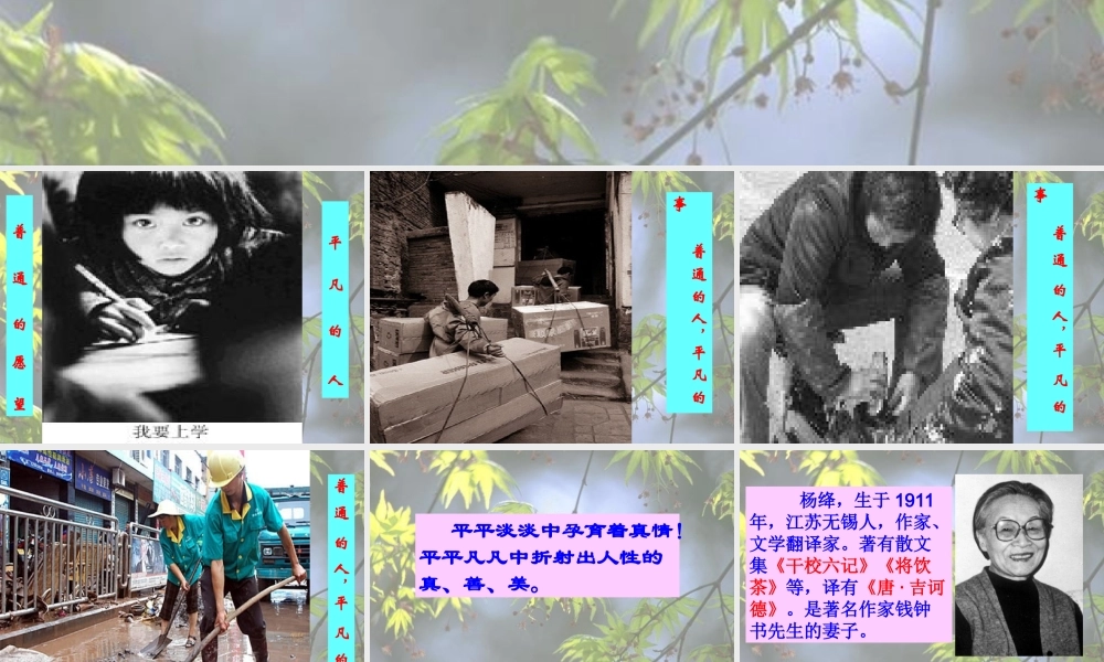 (老王)课件3 八年级语文上册第二单元(老王)课件9套人教版 八年级语文上册第二单元(老王)课件9套人教版