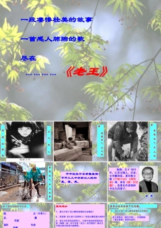 (老王)课件3 八年级语文上册第二单元(老王)课件9套人教版 八年级语文上册第二单元(老王)课件9套人教版