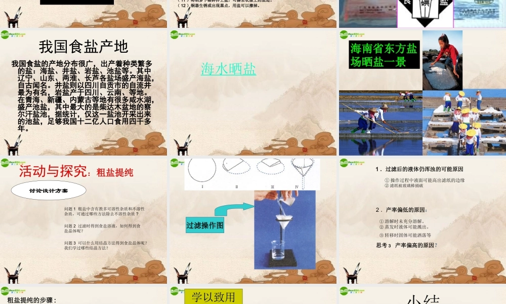 九年级化学下册 课题1生活中常见的盐课件 人教新课标版 课件