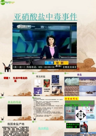 九年级化学下册 课题1生活中常见的盐课件 人教新课标版 课件