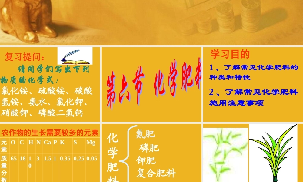 九年级化学下册 单元3盐 化学肥料课件