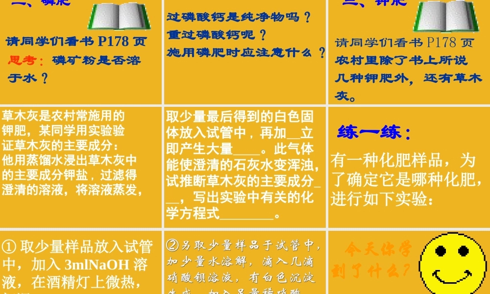 九年级化学下册 单元3盐 化学肥料课件