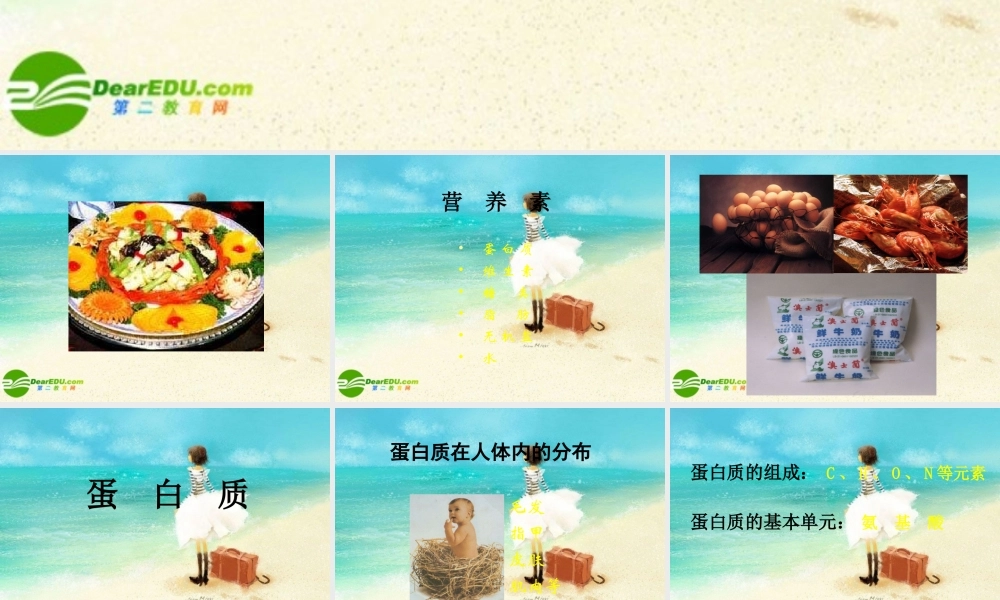 九年级化学下册 人类重要的营养物质课件 人教新课标版 课件