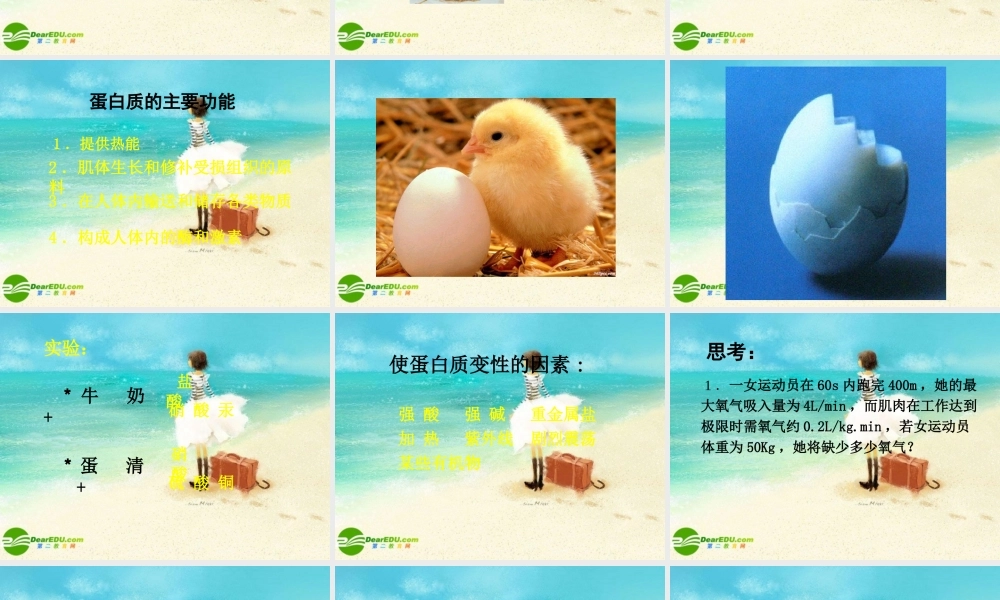 九年级化学下册 人类重要的营养物质课件 人教新课标版 课件