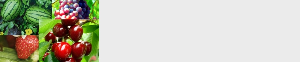 八年级地理上册 第六章 第一节 自然特征和农业课件 新人教版 课件