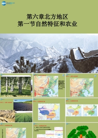 八年级地理上册 第六章 第一节 自然特征和农业课件 新人教版 课件