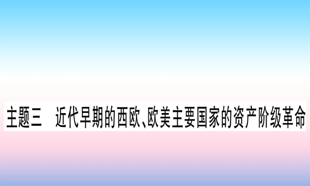 (云南专用)中考历史总复习 第一篇 考点系统复习 板块4 世界古、近代史 主题三 近代早期的西欧、欧美主要国家的资产阶九年级革命(精练)课件