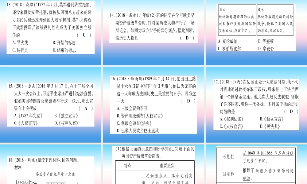 (云南专用)中考历史总复习 第一篇 考点系统复习 板块4 世界古、近代史 主题三 近代早期的西欧、欧美主要国家的资产阶九年级革命(精练)课件
