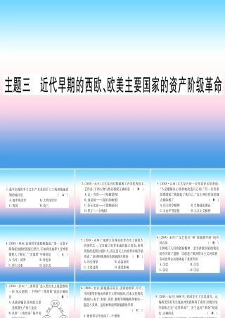 (云南专用)中考历史总复习 第一篇 考点系统复习 板块4 世界古、近代史 主题三 近代早期的西欧、欧美主要国家的资产阶九年级革命(精练)课件