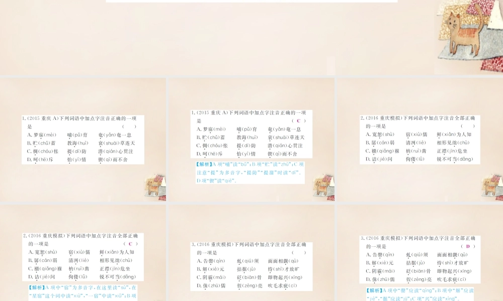 中考语文二轮复习 专题能力提升 第一部分 基础知识及运用 专题一 字音、字形(精练)课件