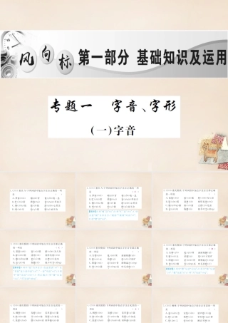 中考语文二轮复习 专题能力提升 第一部分 基础知识及运用 专题一 字音、字形(精练)课件