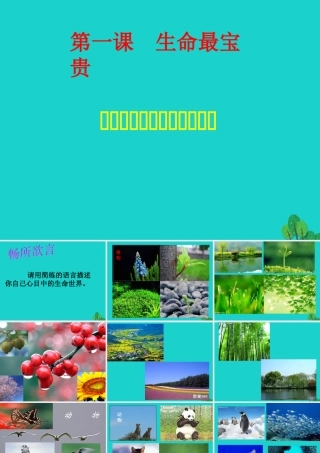 七年级政治上册 第4课(多彩的生命世界)课件5 首师大版(道德与法治) 课件