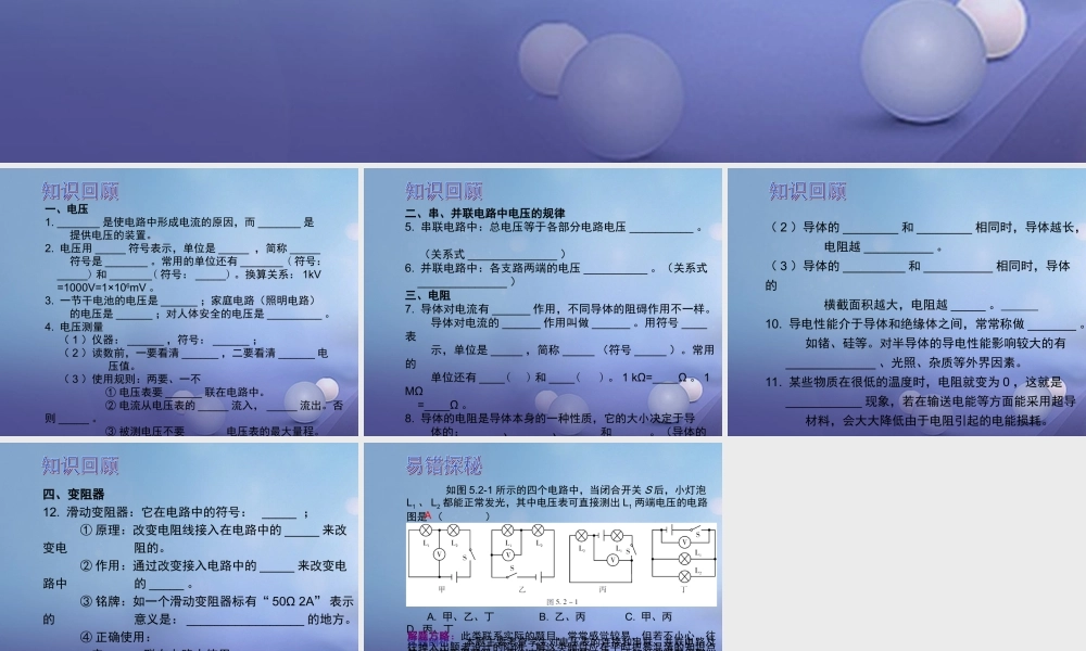 中考物理总复习 第十七章 电压 电阻课件