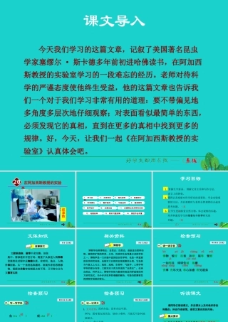 (季版)七年级语文上册 第五单元 第在阿加西斯教授的实验)课件 苏教版 0914214