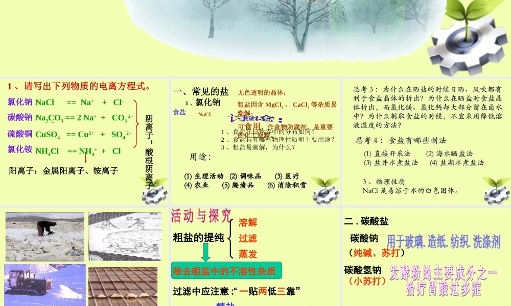 九年级化学(生活中常见的盐)课件