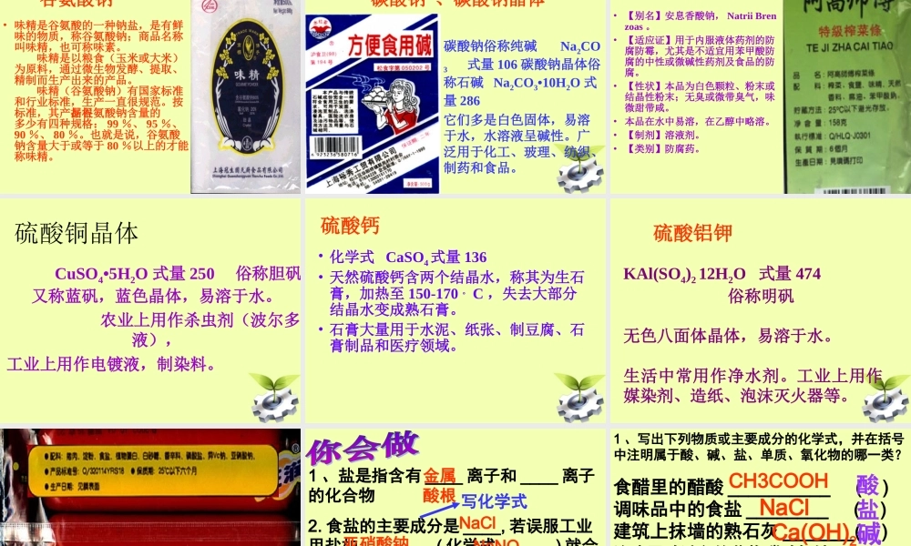 九年级化学(生活中常见的盐)课件