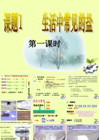 九年级化学(生活中常见的盐)课件
