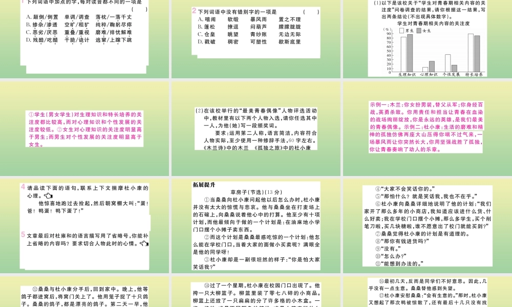 (河南专版)九年级语文上册 第四单元 16 孤独之旅作业课件 新人教版 课件