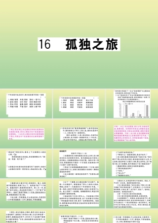 (河南专版)九年级语文上册 第四单元 16 孤独之旅作业课件 新人教版 课件