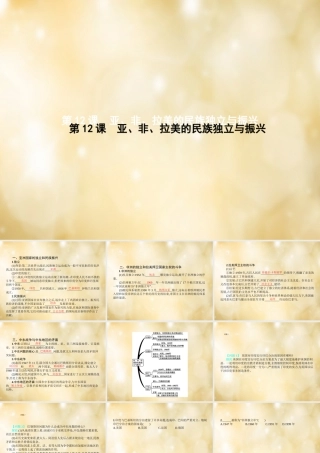 九年级历史下册 第12课 亚、非、拉美的民族独立与振兴课件 中华书局版 课件