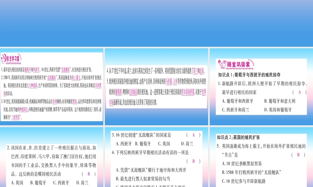 九年级历史上册 第5单元 步入近代 第16课 早期殖民掠夺习题课件 新人教版 课件