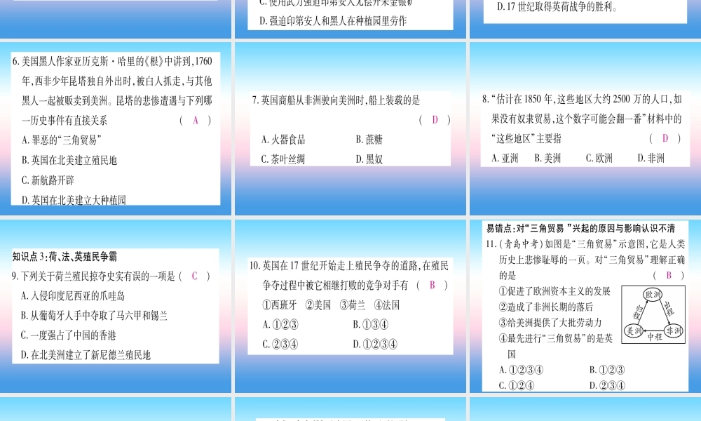 九年级历史上册 第5单元 步入近代 第16课 早期殖民掠夺习题课件 新人教版 课件