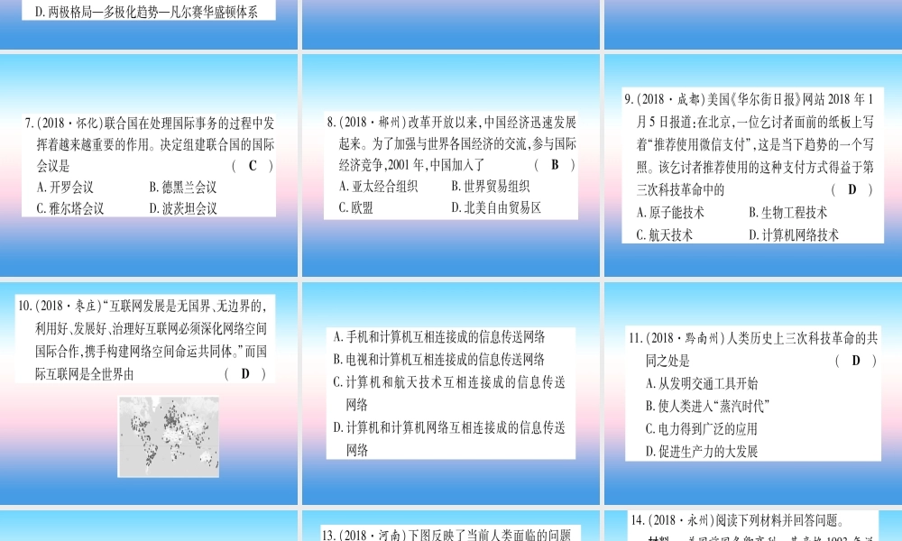 (云南专用)中考历史总复习 第一篇 考点系统复习 板块5 世界现代史 主题四 冷战 结束后世界的多极化趋势(精练)课件