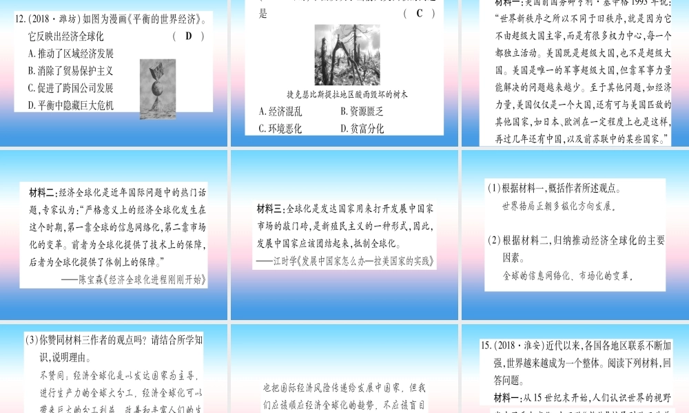 (云南专用)中考历史总复习 第一篇 考点系统复习 板块5 世界现代史 主题四 冷战 结束后世界的多极化趋势(精练)课件