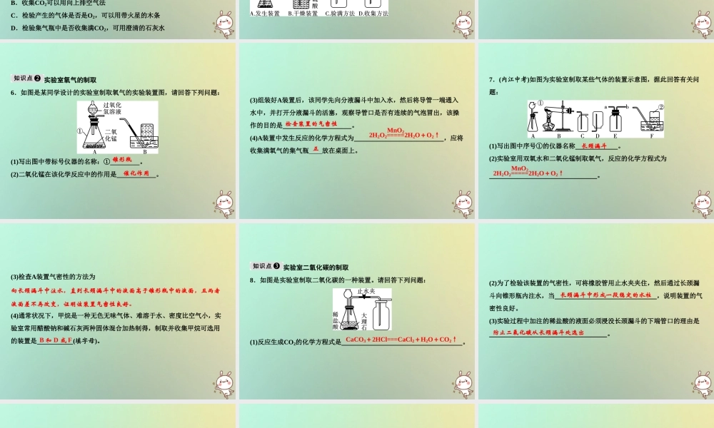 九年级化学上册 第6单元 碳和碳的氧化物 专题突破五 气体的实验室制法作业课件 (新版)新人教版 课件