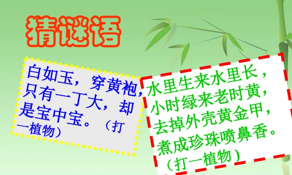 七年级历史上册 星罗棋布的氏族聚落课件 北师大版 课件