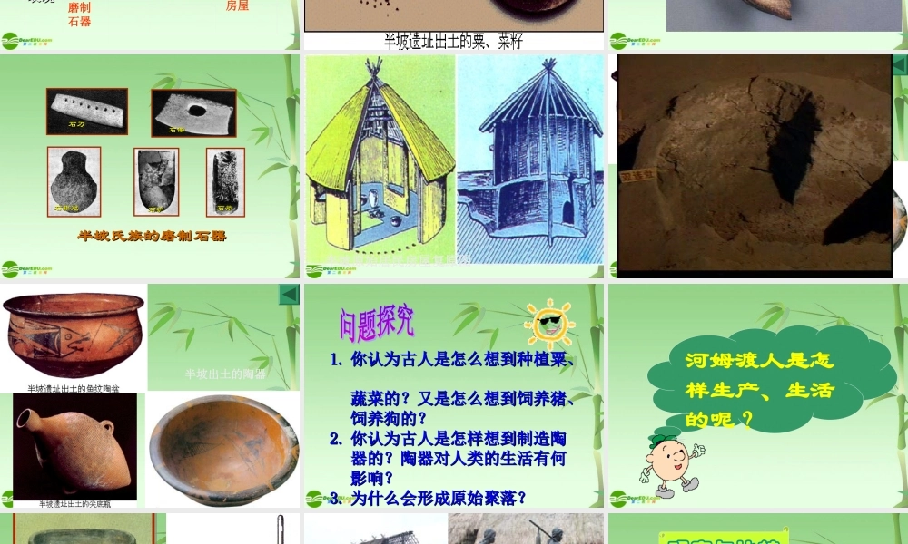 七年级历史上册 星罗棋布的氏族聚落课件 北师大版 课件