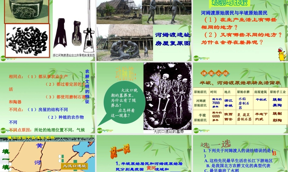 七年级历史上册 星罗棋布的氏族聚落课件 北师大版 课件