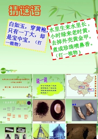 七年级历史上册 星罗棋布的氏族聚落课件 北师大版 课件