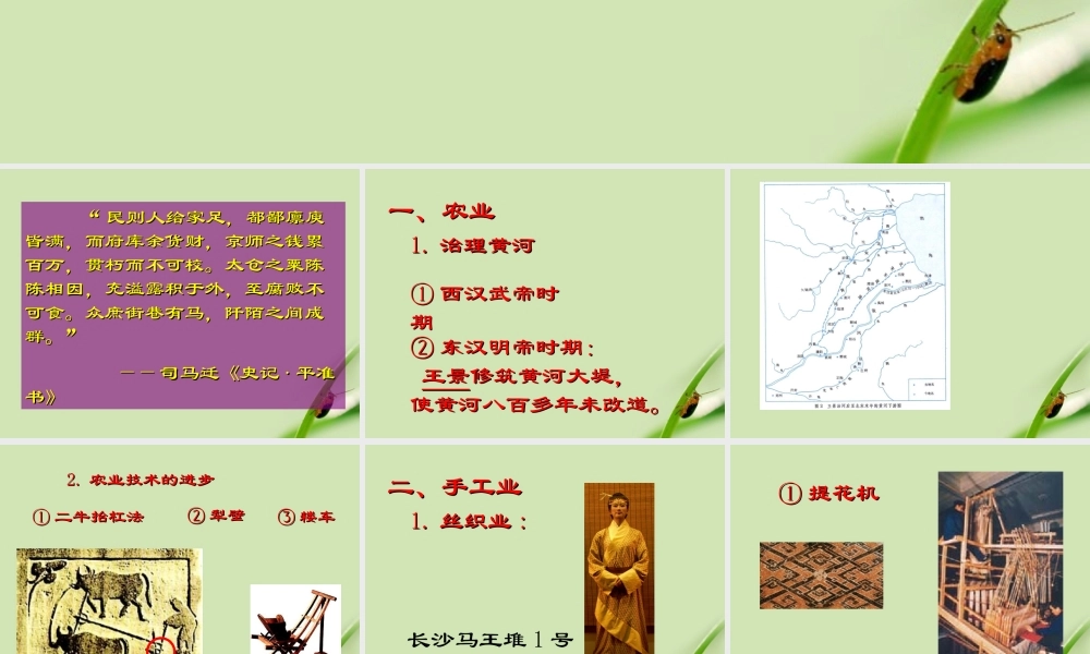 七年级历史上册 第三单元第13课两汉经济的发展课件 人教新课标版 课件