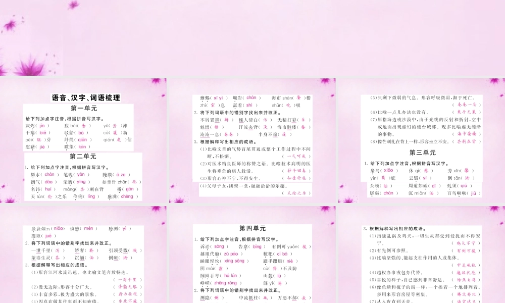 中考语文 第一轮 复习教材 夯基固本 九下 语音、汉字、词语梳理课件 新人教版 课件